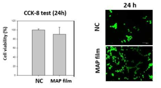 접착 필름에 대한 세포독성 평가 (CCK-8, LIVE/DEAD)
