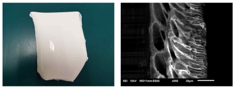 용매의 상분리를 이용해 제작한 다공성 PLA 필름의 사진과 SEM 단면 구조