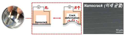 미세 균열 구조 기반의 시한성 strain sensor