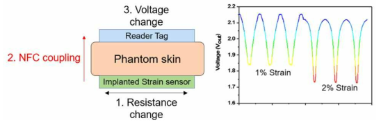 ex vivo measurement of wireless strain sensor