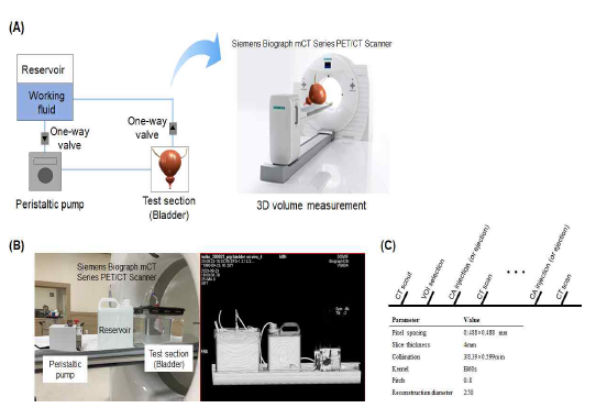 CT scan을 활용한 방광 ex vivo 시스템의 비교 검증 방법 확립 (A)모식도, (B) CT scan analysis를 위한 시스템, (C) CT scan procedure 및 parameters