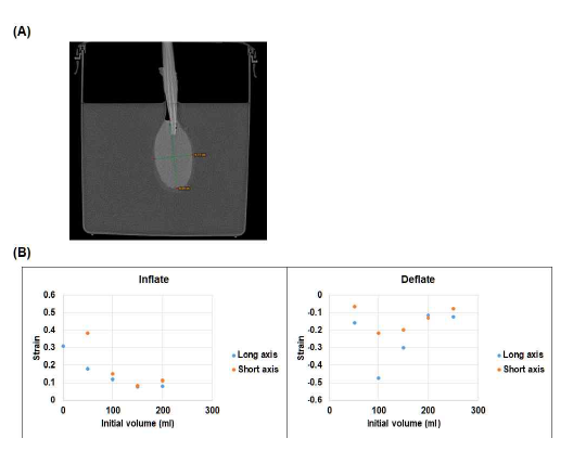 CT scanning image 분석을 통한 스트레인 calculation, (A) CT scanning image 분석, (B) 방광 ex vivo 시스템의 inflate 및 deflate 모델에서의 부피에 따른 calculated strain