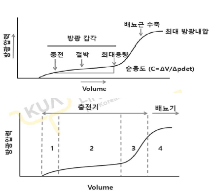 충전 방광 내압측정술 [출처: 대한비뇨기과학회, 실습학생 지침서]