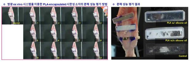 방광 ex vivo 시스템을 이용한 시한성 3S를 위한 방오 소재의 성능 확인