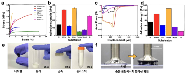 그래핀 하이드로젤의 접착성 테스트 결과 및 사진