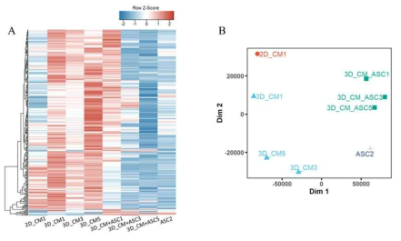 지방세포와 공배양된 심근세포의 antibody array