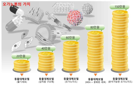 동물 대체 모델의 종류별 가치 예상도