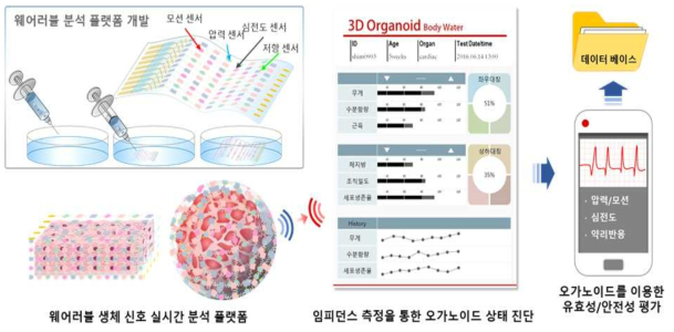 웨어러블 바이오 전자 플랫폼의 활용 기대효과 모식도