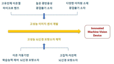 연구개발 내용의 모식도