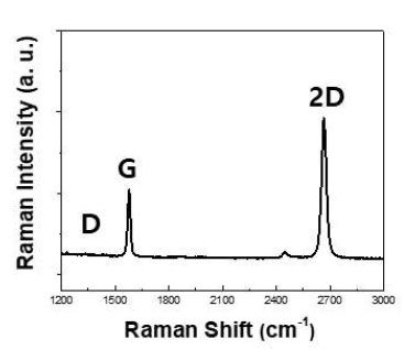 그래핀의 라만 분광 데이터