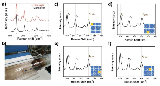 a. 기존의 보고된 단일층과 다층 ReS2 박막의 라만 분광 측정 결과. b. CVD 장비를 이용한 ReS2 증착 모습. c~f. CVD ReS2 박막의 서로 다른 위치에서의 라만 분광 결과. c~f의 inset 그림은 ReS2 시료의 측정 위치를 나타낸다