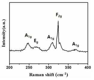 CVD 방법으로 성장된 In2S3 박막의 라만데이터