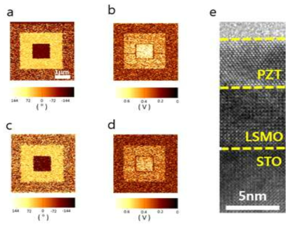 PZT/LSMO/STO 구조에서의 PFM 및 TEM 이미지