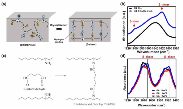 (a) 용매 증기압 어닐링 시 실크 필름의 결정화 거동, (b) 메탄올증기 처리에 따른 실크 필름의 FT-IR 변화, (c) GA 를 첨가하여 가교가 되는 매커니즘, (d) GA를 첨가함에 따른 실크 필름의 FT-IR 변화