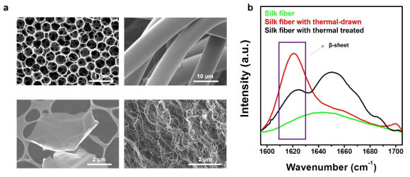 (a) 다차원 실크소재의 형태를 FE-SEM으로 관찰한 이미지, (b) 열처리 및 열 인장 공정에 따른 실크소재 2차구조의 FT-IR 변화