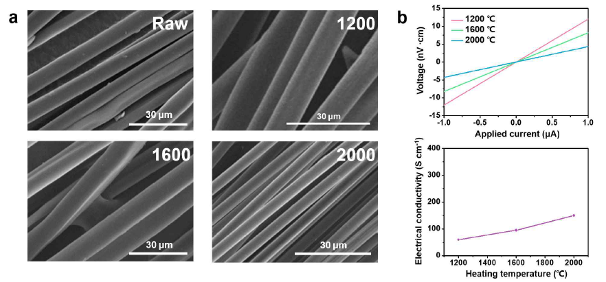 (a) 열처리 온도별 실크소재의 형태를 FE-SEM으로 관찰한 이미지, (b) 열처리 온도별 실크소재의 전기전도도 변화