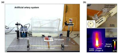 (a) 인공 혈관 시스템 구축, (b) 열적 치료를 제공하는 생체 진단 로봇