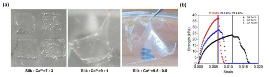 (a) 칼슘이온 첨가량에 따른 실크소재의 접착 사진, (b) 접착 테스트 시험 데이터