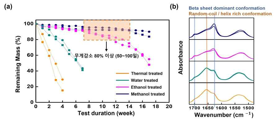 (a)결정화 처리된 실크 단백질 필름의 36.5도 SBF용액에 담구었을 때 시간에 따른 무게 손실, (b) 결정화 처리된 실크 단백질 필름의 FT-IR 결과