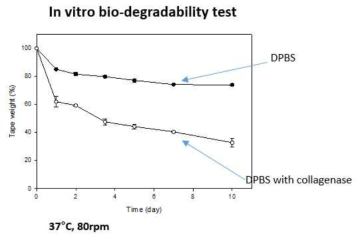 접착 필름의 in vitro bio-degradability 실험