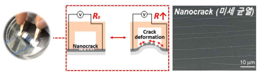 미세 균열 구조 기반의 시한성 strain sensor