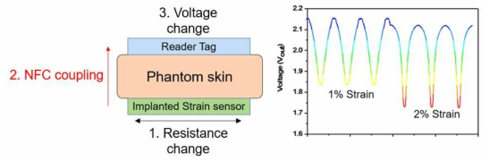 ex vivo measurement of wireless strain sensor