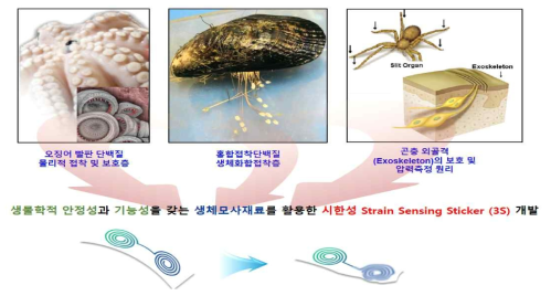 생체모사형 시한성 3S의 개념도