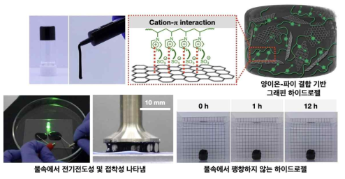 양이온-파이 상호작용 기반의 전도성, 접착성, 생분해성 하이드로젤