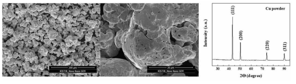 구리 분말의 SEM 이미지 및 X-선 회절 패턴