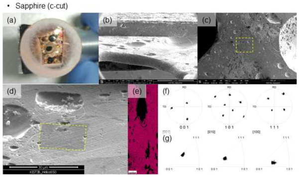 SPS 공정을 통한 사파이어 기판과 접합된 구리 계면의 사진 및 SEM(EBSD) 분석결과