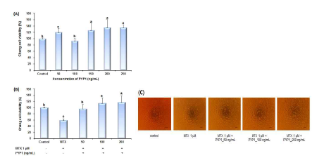 재조합단백질인 PYP1은 간세포 Chang liver에 세포독성을 나타내지 않았으며, MTX의 세포독성에 대한 보호효과를 나타내었다
