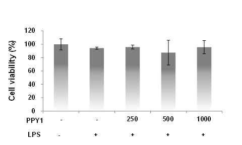peptide 1의 처리 구 1,000 ng/mL 이하의 농도에서 세포생존율은 85-100%를 나타내며 세포 독성이 낮음을 확인하였다