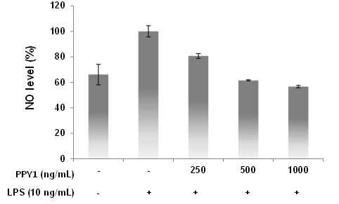 peptide 1를 농도 별로 처리했을 때 농도가 증가할수록 NO 생산량은 감소 하였다