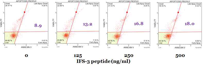 PYP1-2 처리 시 농도 의 존적으로 apoptotic 비율이 각 각 13.2, 16.8, 18.0%으로 증가하는 것으로 나타나, 세포의 사멸에 apoptosis가 부분적으로 기여함을 확인하였다