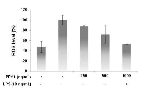 peptide 1은 농도 의존적으로 ROS 생산량을 감소시켰다