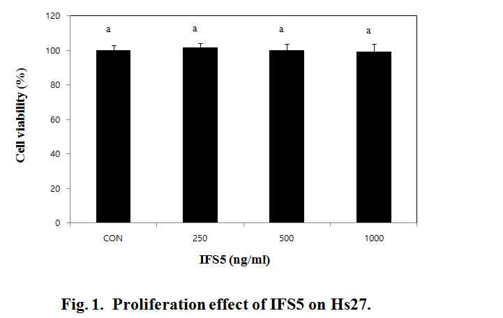PYP1-5는 Hs27 세포에 독성을 나타내지 않았다