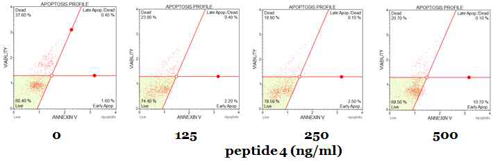 PYP1-5 처리 시 apoptotic 비율이 2.6∼11.0%으로 증가하는 것으로 나타났다
