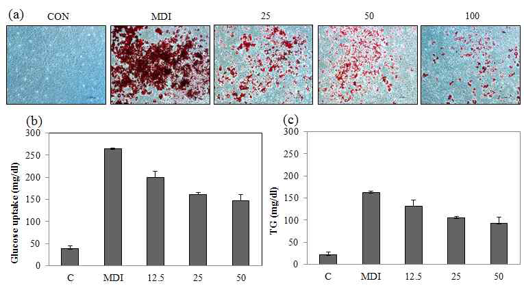 겟메꽃 octadecyl cis p-coumarate을 처리 시, 세포 내 중성지방 함량이 농도의존적으로 감소하였다