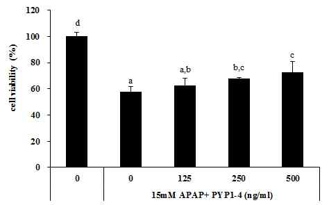 Peptide 1은 아 세트아미노펜에 의한 HepG2 세포독성을 억제 하였다