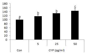 Cyp는 농도의 존적으로 IEC-6 세포의 증식을 증가시켰다