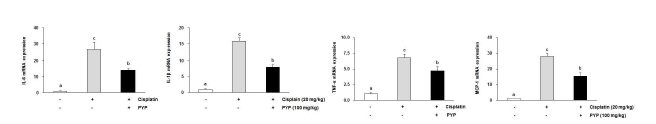 cisplatin에 의해 증가되었던 TNF-a, IL-6, IL-1β, MCP-1 발현 수준이 김열수추출물에 의해 억제되었다