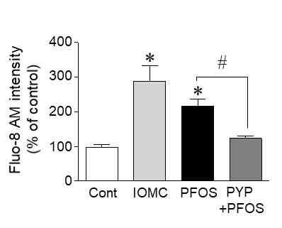 Frontal cortex 신경세포에서 PFOS에 의해 특이적으로 증가된 세포내 칼슘량이 방사무늬김 펩타이드에 의해 감소되었다