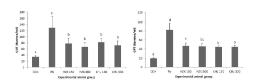 간세포 손상은 GOT와 GPT의 양으로 측정하였으며, 납 투여에 의해 증가된 GOT 및 GPT는 톳 및 클로렐라 추출물에 의해 감소하였다