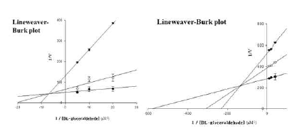 RLAR, HRAR의 Lineweaver-Burk plot