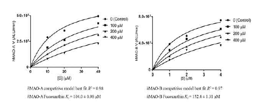 Fucoxanthin의 hMAO-A와 hMAO-B에 대한 Michaelis-Menten curve