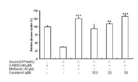 12.5∼50 μM 농도의 fucosterol은 2-NBDG의 인슐린 자극성 흡수를 현저히 증가시켰다
