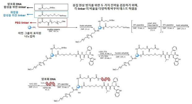 나노입자 간 응집현상을 막기 위한 두 가지 전략을 적용한 모델 나노입자 합성 과정