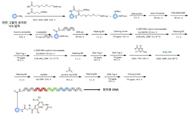 Pyrrolopyrimidine 기반의 저분자화합물 및 암호화 DNA 포함하는 모델의 대표적 합성 과정