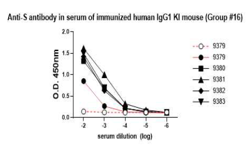 면역 생쥐의 혈청 중 항-corona-19 S1 항체량 (일부 예)