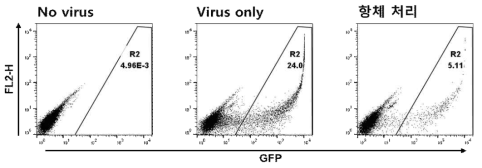 GFP 발현 pseudotyped lentivirus를 hACE2 발현 293T세포에 감염시켰을 때의 flow cytometry 결과
